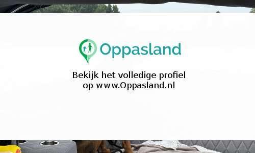 Koos zoekt een oppas in Amsterdam., Vacatures, Vacatures | Juridisch en Fiscaal