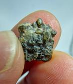 De mysterieuze niet-groep Achondriet NWA 15915. Vreemde