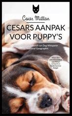 Cesars aanpak voor puppys, Nieuw, Verzenden