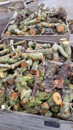 Haardhout perenhout en appelhout te koop, 3 tot 6 m³, Blokken, Ophalen, Overige houtsoorten