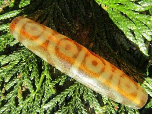 Zeldzame en krachtige Talisman DZI 12 ogen (71 mm) met, Verzamelen, Mineralen en Fossielen