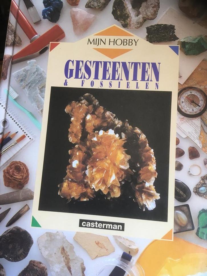 Gesteenten & fossielen / Mijn hobby 9789030348535 R. Oliver, Boeken, Kinderboeken | Kleuters, Gelezen, Verzenden