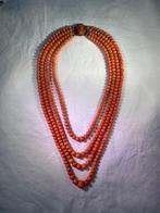 Borstornament - 14 karaat Geel goud Bloedkoraal -