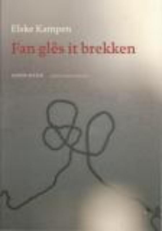 Fan glês it brekken 9789033009402 Elske Kampen, Boeken, Gedichten en Poëzie, Gelezen, Verzenden