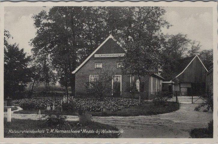 MEDO - Natuurvrienden L.M. Hermanshoeve Meddo bij Winters..., Verzamelen, Ansichtkaarten | Nederland, Verzenden