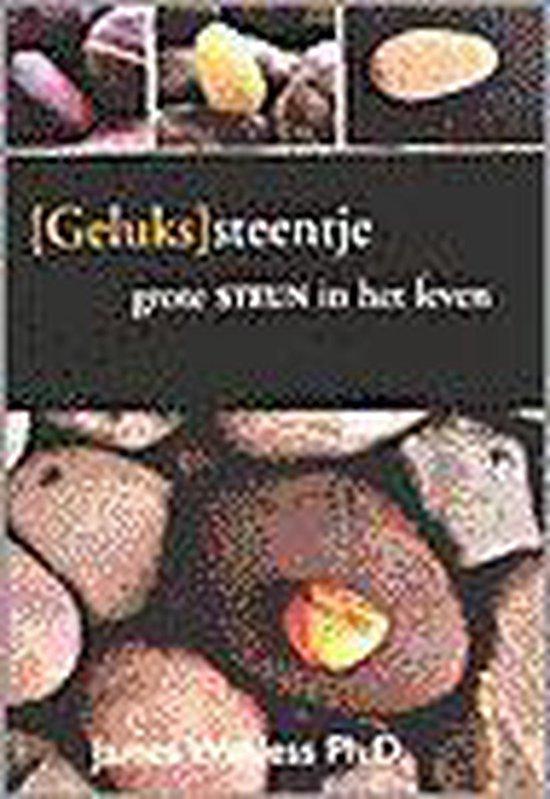 Gelukssteentje, Boeken, Overige Boeken, Ophalen of Verzenden