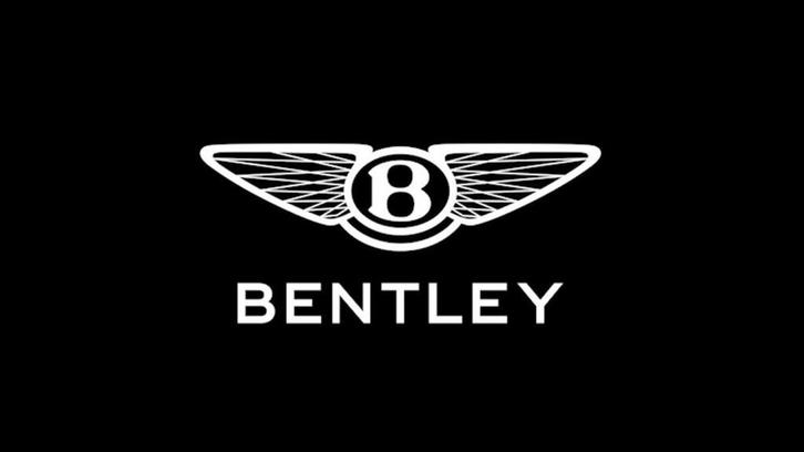 Bentley Verborgen Opties Activeren Coderen Diagnose Coding, Diensten en Vakmensen, Auto en Motor | Monteurs en Garages, Overige werkzaamheden