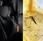 Barnsteen - One-of-a-Kind Baltic Amber Pendant – Ancient