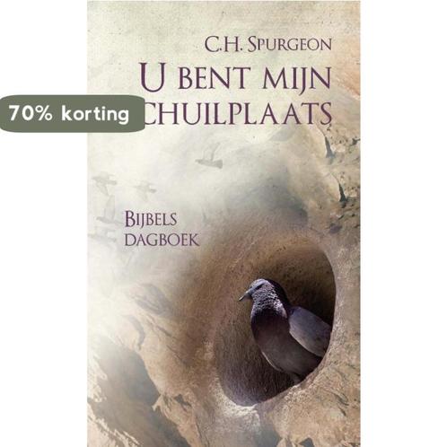 U bent mijn Schuilplaats GROTE LETTER 9789087184094, Boeken, Godsdienst en Theologie, Gelezen, Verzenden