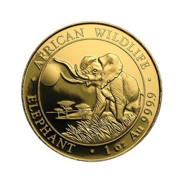 1 troy ounce goud Somalische Olifant diverse jaargangen beschikbaar voor biedingen