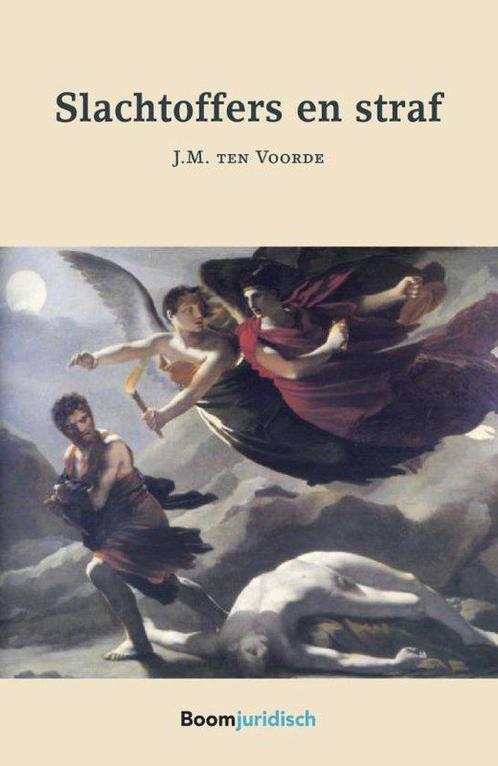 9789462901971 Slachtoffers en straf J.M. Ten Voorde, Boeken, Studieboeken en Cursussen, Nieuw, Verzenden