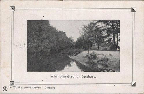 DENEKAMP - In het Sterrebosch bij Denekamp, Verzamelen, Ansichtkaarten | Nederland, Verzenden