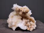 Amethist, Celestien, Septarie, Versteend Hout, Bergkristal., Verzamelen, Mineralen en Fossielen, Ophalen