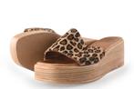 Notre-V Slippers in maat 38 Panter | 10% extra korting, Slippers, Notre-V, Overige kleuren, Verzenden