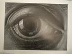M.C. Escher (1898-1972), after - Oog