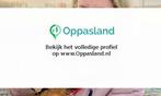 Diana zoekt een oppas in Etten-Leur voor 2 kinderen., Vacatures