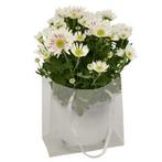 Tasje Tas Luxury PP 16x8xH16cm. transparant bloementasje, Ophalen of Verzenden, Nieuw