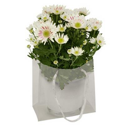 Tasje Tas Luxury PP 16x8xH16cm. transparant bloementasje, Hobby en Vrije tijd, Knutselen, Nieuw, Ophalen of Verzenden