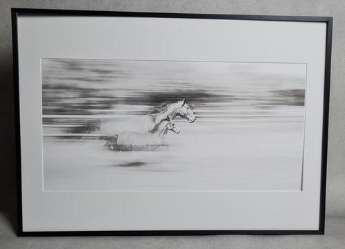 Atrayoux - Course jument poulain, Antiek en Kunst, Kunst | Schilderijen | Modern