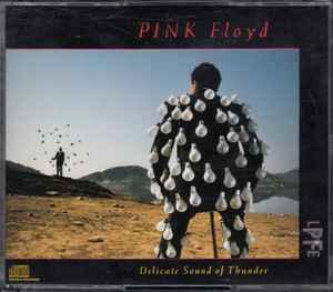 cd - Pink Floyd - Delicate Sound Of Thunder, Cd's en Dvd's, Cd's | Overige Cd's, Zo goed als nieuw, Verzenden