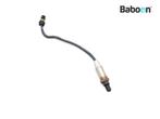 Lambda Sonde BMW F 650 GS 2004-2005 Dakar (F650GS), Motoren, Verzenden, Gebruikt