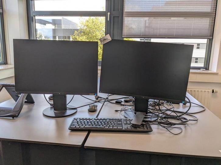 2x Monitor Eizo, Flexscan EV2455, Auto's, Fiat