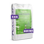 Groenbemester - Vanggewas Mix - 10 Soorten  (5 kg voor 800, Tuin en Terras, Verzenden, Gehele jaar, Volle zon