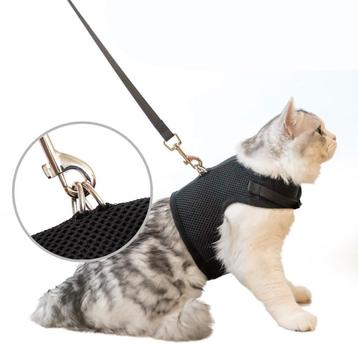 Kattentuigje met leiband - maat M - zwart - comfortabel en beschikbaar voor biedingen