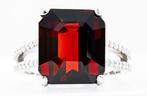 Ring - 18 karaat Witgoud, Levendig Rood (Birma) -  8.27ct.