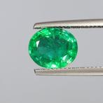 1 pcs Groen Smaragd - 3.25 ct - Asian Institute of, Nieuw