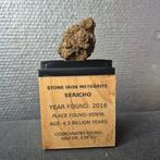 Sericho meteoriet pallasite in display - pallasite - Hoogte: