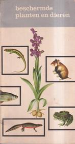 Beschermde planten en dieren 9789012001212, Boeken, Overige Boeken, Verzenden, Gelezen, Ing. H.J.W. Schimmel