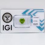 1 pcs Groen, Geel Olivijn - 3.19 ct - International, Nieuw