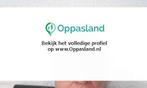 Ik ben Angelina, 73 jaar oud en ik zoek oppaswerk in Emmen.