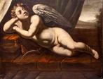 Scuola emiliana (XVII) - Amore dormiente - NO RESERVE, Antiek en Kunst, Kunst | Schilderijen | Klassiek