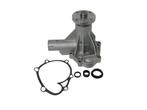Volvo Waterpomp B19+B21+B23 -1984 240+740 incl pakkingset AM, Auto-onderdelen, Motor en Toebehoren, Verzenden, Nieuw, Volvo