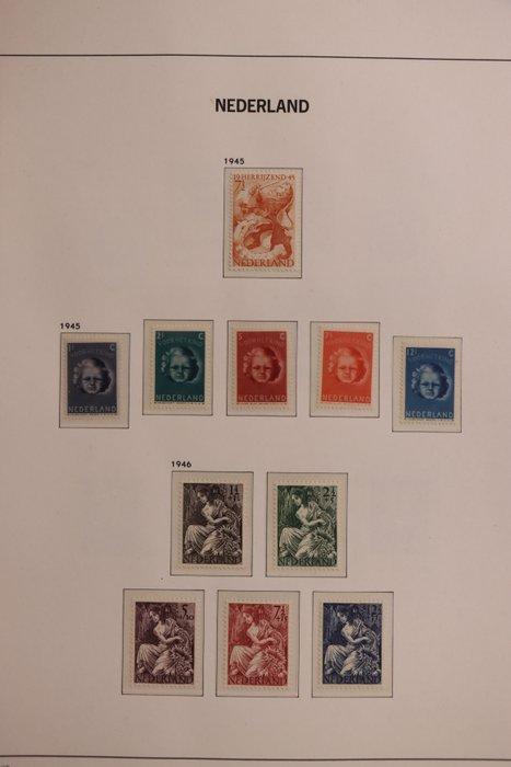 Nederland 1945/1985 - Verzameling Nederland in drie DAVO, Postzegels en Munten, Postzegels | Nederland