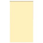 vidaXL Rolgordijn 120x230 cm verduisterend stofbreedte 116,6, Huis en Inrichting, Verzenden, Nieuw