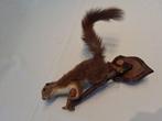 Eekhoorn Taxidermie volledige montage - Sciurus vulgaris -, Nieuw