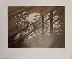 M.C. Escher (1898-1972), after - Modderplas
