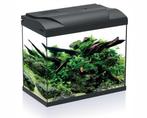 HS Aqua Aquarium Platy 30 LED | 30L | 39 x 22 x 36CM Zwart, Nieuw, Ophalen of Verzenden