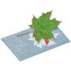 Zonnepapier PhänoMINT - A5 - 10 stuks - Creatief NIEUW, Hobby en Vrije tijd, Knutselen, Ophalen of Verzenden, Nieuw