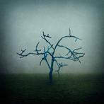 Tessa Posthuma de Boer - Msdiekes tree