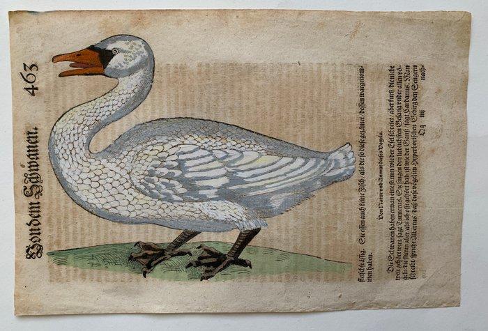 Conrad Gesner - Vogelbuch - 1598, Antiek en Kunst, Antiek | Boeken en Bijbels