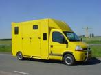 Gebruikte Renault Master horsetruck paardenwagen, Overige typen, Polyester, Gebruikt, Ophalen