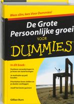 Voor Dummies   De Grote Persoonlijke groei voo 9789043017688, Boeken, Wetenschap, Zo goed als nieuw