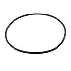 O-Ring voor Mega Pool zwembadpomp, Tuin en Terras, Zwembad-toebehoren, Verzenden, Nieuw