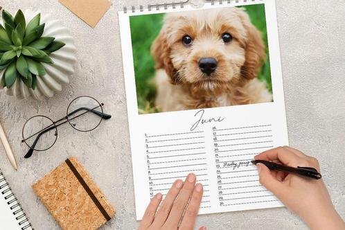 Verjaardagskalender met eigen fotos, Huis en Inrichting, Woonaccessoires | Schilderijen, Tekeningen en Foto's, Nieuw