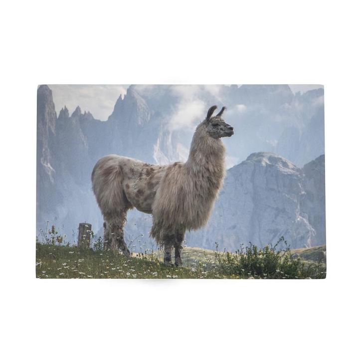 Deurmat Alpaca bergen 75x50cm, Tuin en Terras, Deurmatten, Verzenden