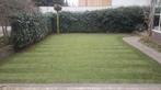 Graszoden, Gras laten leggen, afhalen of voordelig bezorgd!